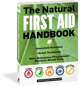 Natural Bug Bite Remedies Image